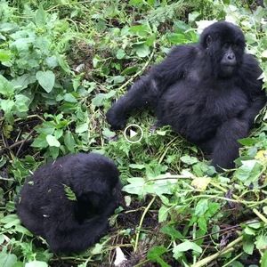 Meet your Posher, Clare